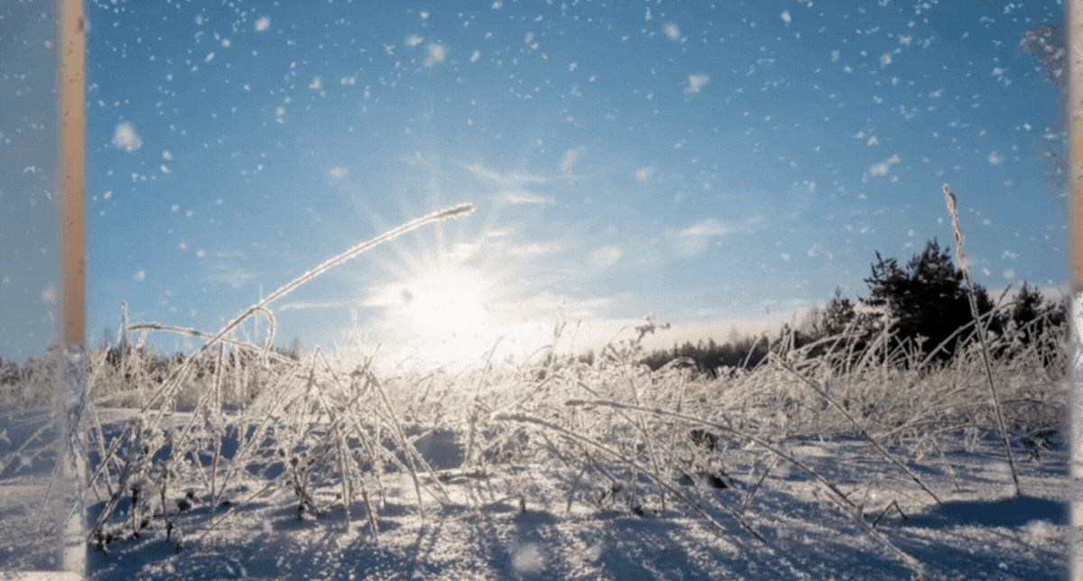 Four GIFs throughout the post that spotlight Rotor Videos' user interface, visual library, and video editing capabilities. The image featured faces a wintery field with flakes of snow falling against a sunny horizon.